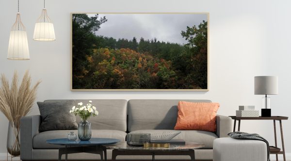 Forest Trees Autumn Colors 45x25 inch