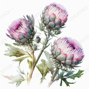 Triple Clipart Watercolor Artichoke 20x20 inch