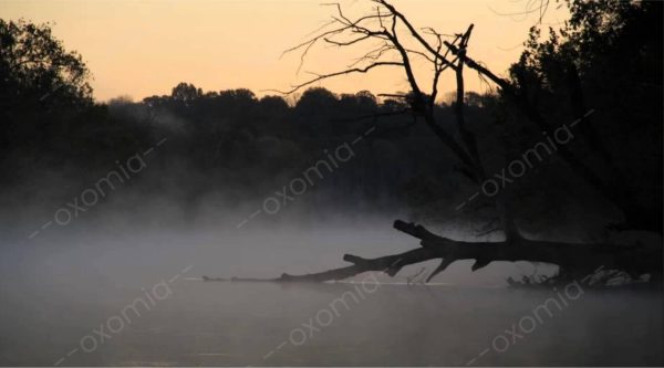 Fog and Lake Sunrise Photo