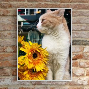 Van Gogh Cat