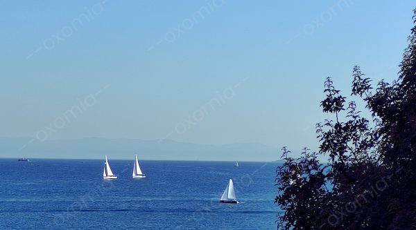 Sailboats and Peace